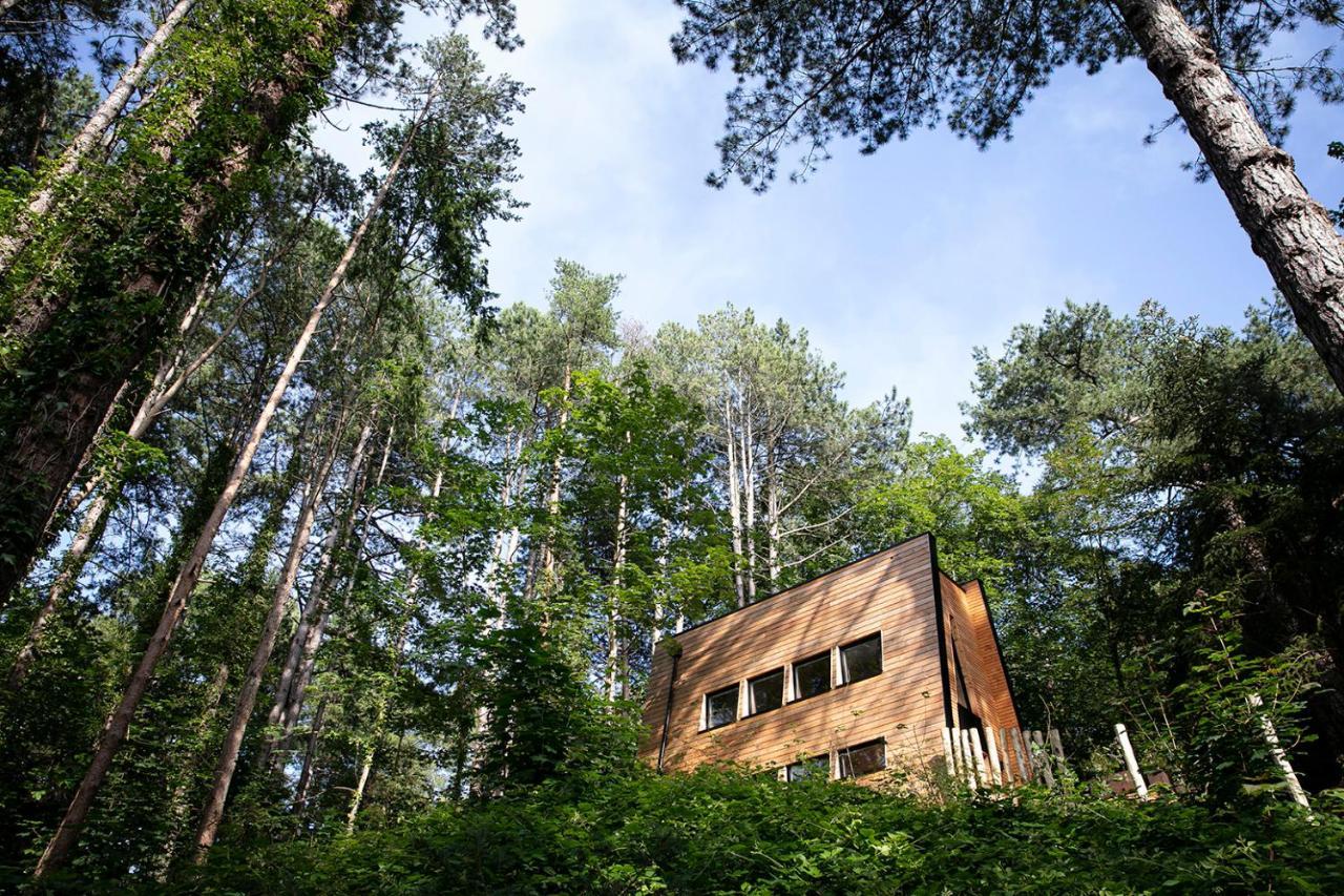 Bain De Foret - Lodges Cosy & Spa Neufchâtel-Hardelot Exteriör bild