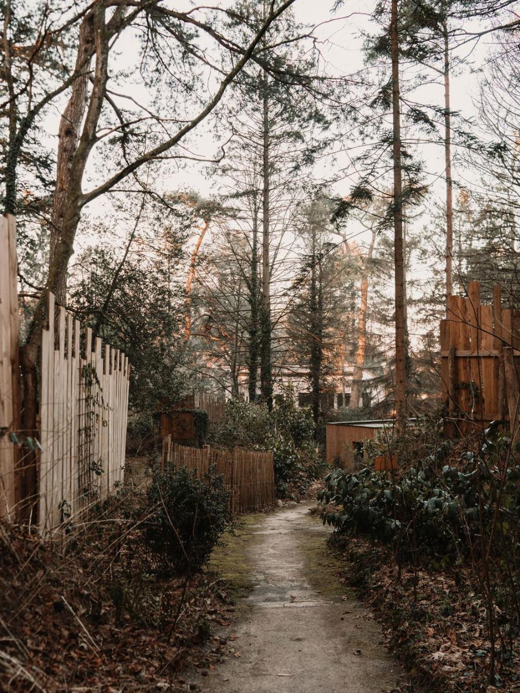 Bain De Foret - Lodges Cosy & Spa Neufchâtel-Hardelot Rum bild