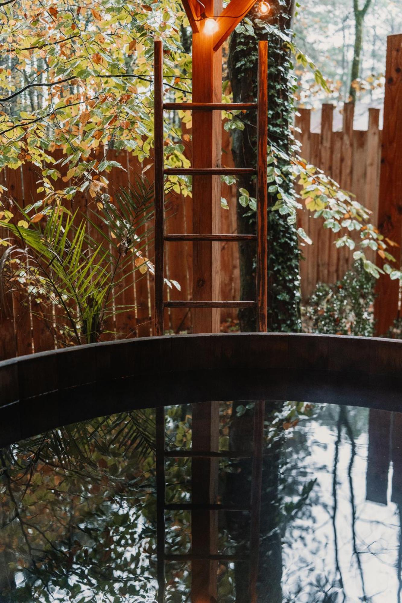 Bain De Foret - Lodges Cosy & Spa Neufchâtel-Hardelot Rum bild